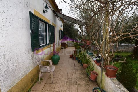 Helårsgrund i Mouriscas, Santarem, Mouriscas - € 195.000 | Ref: 2498 - foto 6