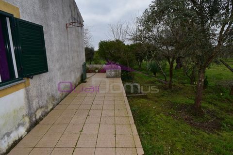 Helårsgrund i Mouriscas, Santarem, Mouriscas - € 195.000 | Ref: 2498 - foto 7