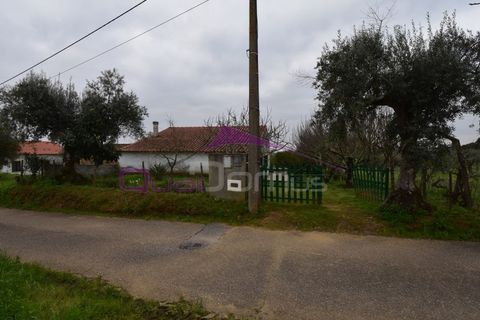 Helårsgrund i Mouriscas, Santarem, Mouriscas - € 195.000 | Ref: 2498 - foto 10