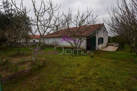 Helårsgrund i Mouriscas, Santarem, Mouriscas - € 195.000 | Ref: 2498 - foto 11