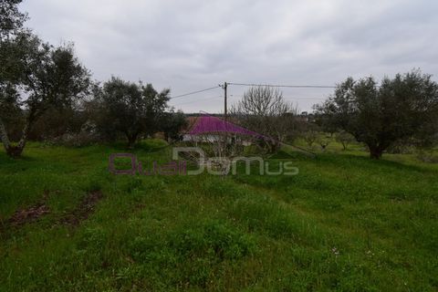 Helårsgrund i Mouriscas, Santarem, Mouriscas - € 195.000 | Ref: 2498 - foto 25