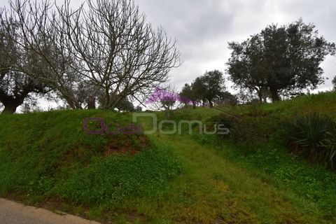 Helårsgrund i Mouriscas, Santarem, Mouriscas - € 195.000 | Ref: 2498 - foto 26