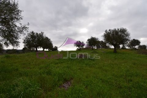 Helårsgrund i Mouriscas, Santarem, Mouriscas - € 195.000 | Ref: 2498 - foto 27