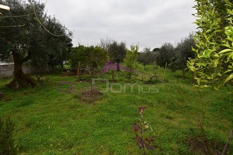 Helårsgrund i Mouriscas, Santarem, Mouriscas - € 195.000 | Ref: 2498 - foto 29