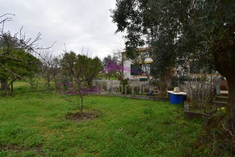 Helårsgrund i Mouriscas, Santarem, Mouriscas - € 195.000 | Ref: 2498 - foto 31