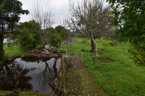 Helårsgrund i Mouriscas, Santarem, Mouriscas - € 195.000 | Ref: 2498 - foto 32