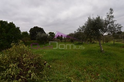 Helårsgrund i Mouriscas, Santarem, Mouriscas - € 195.000 | Ref: 2498 - foto 33