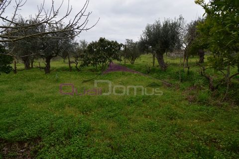 Helårsgrund i Mouriscas, Santarem, Mouriscas - € 195.000 | Ref: 2498 - foto 34