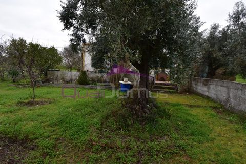 Helårsgrund i Mouriscas, Santarem, Mouriscas - € 195.000 | Ref: 2498 - foto 36