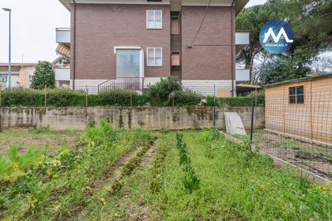Villa a Torgiano, Perugia, Torgiano - € 250.000 | Ref: 2426 - foto 27