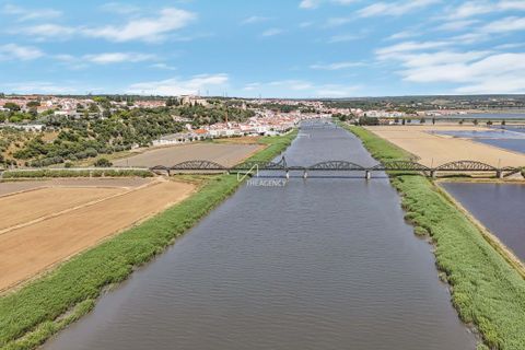 Villa i Alcacer do Sal, Setubal, Alcacer do Sal - € 625.000 | Ref: TAPT01-1737_SES - foto 28