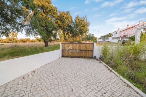 Villa i Alcacer do Sal, Setubal, Alcacer do Sal - € 695.000 | Ref: TAPT01-1736_SES - foto 25