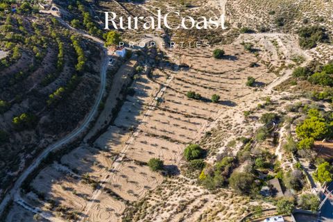 Finca i Busot, Alicante, Busot - € 139.000 | Ref: 9247 - foto 4