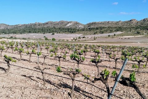 Landejendom i Yecla, Murcia, Yecla - € 160.000 | Ref: 40065-PB - foto 5