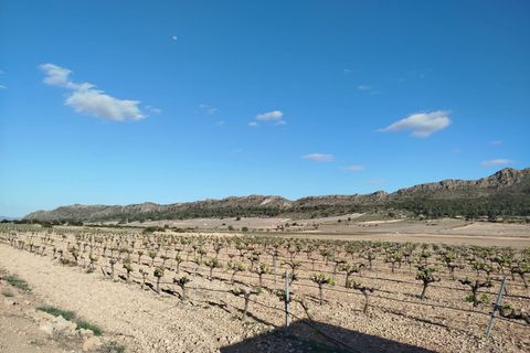 Landejendom i Yecla, Murcia, Yecla - € 160.000 | Ref: 40065-PB - foto 6
