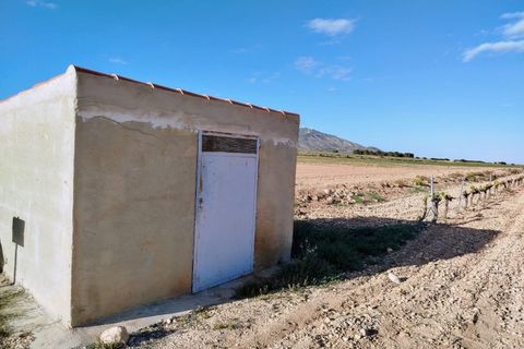 Landejendom i Yecla, Murcia, Yecla - € 160.000 | Ref: 40065-PB - foto 7