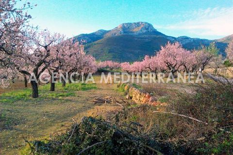 Helårsgrund i Alcalali, Alicante, Alcalali - € 75.000 | Ref: 5700/5940 - foto 7