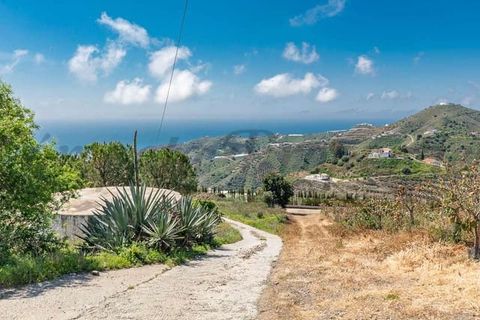 Finca i Torrox, Malaga, Torrox - € 130.000 | Ref: TCP264 - foto 11