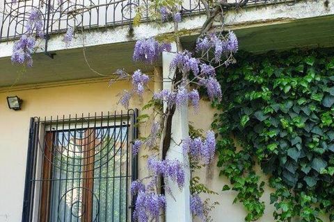 Villa i Vigevano, Pavia, Vigevano - € 620.000 | Ref: 26 - VILLA VG - foto 3