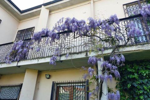 Villa i Vigevano, Pavia, Vigevano - € 620.000 | Ref: 26 - VILLA VG - foto 4