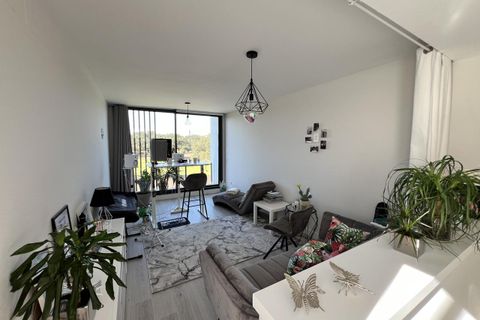 Villa i San Roque, Cadiz, San Roque - € 869.000 | Ref: Direct.Hoyo17.12 - foto 11