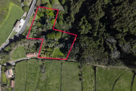 Terra a Horta, Faial, Horta - € 37.000 | Ref: 374260058 - foto 2