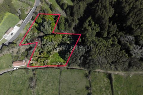 Terra a Horta, Faial, Horta - € 37.000 | Ref: 374260058 - foto 3