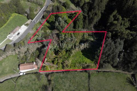 Terra a Horta, Faial, Horta - € 37.000 | Ref: 374260058 - foto 4