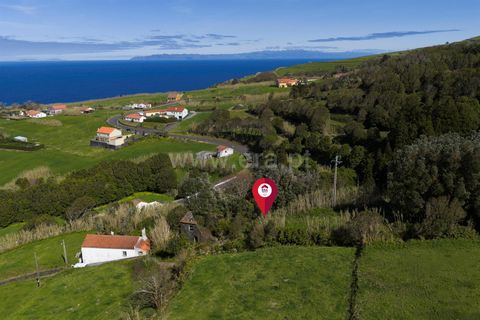 Terra a Horta, Faial, Horta - € 37.000 | Ref: 374260058 - foto 8