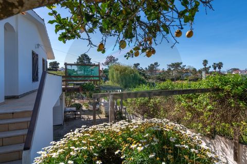 Villa a Aljezur, Faro, Aljezur - € 590.000 | Ref: M-0248 - foto 39