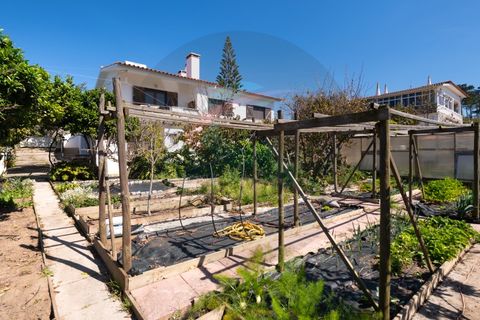 Villa a Aljezur, Faro, Aljezur - € 590.000 | Ref: M-0248 - foto 46