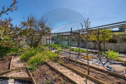 Villa a Aljezur, Faro, Aljezur - € 590.000 | Ref: M-0248 - foto 47