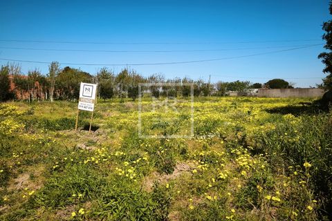 Helårsgrund i Vagos, Aveiro, Vagos - € 60.000 | Ref: 42/2026 PC - foto 2