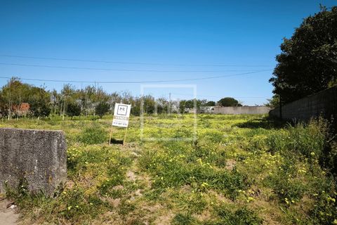 Helårsgrund i Vagos, Aveiro, Vagos - € 60.000 | Ref: 42/2026 PC - foto 3