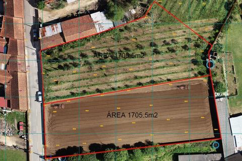 Helårsgrund i Vagos, Aveiro, Vagos - € 60.000 | Ref: 42/2026 PC - foto 4
