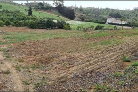 Finca i Campo Mijas, Malaga, Campo Mijas - € 715.000 | Ref: R5350711 - foto 2