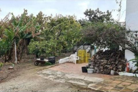 Finca i Campo Mijas, Malaga, Campo Mijas - € 715.000 | Ref: R5350711 - foto 3