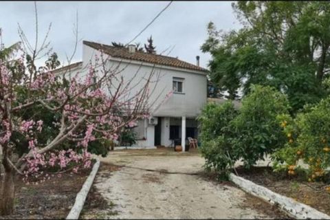 Finca i Campo Mijas, Malaga, Campo Mijas - € 715.000 | Ref: R5350711 - foto 4