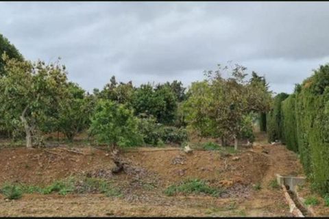 Finca i Campo Mijas, Malaga, Campo Mijas - € 715.000 | Ref: R5350711 - foto 13