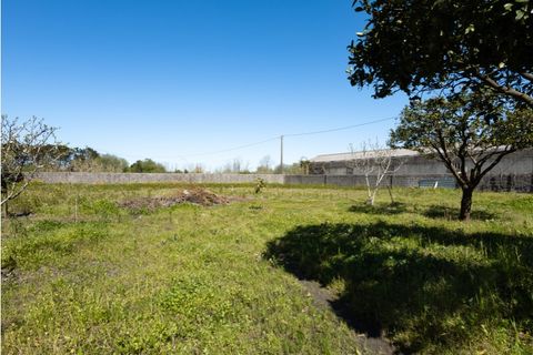 Villa a Cantanhede, Coimbra, Cantanhede - € 350.000 | Ref: CNTSR 6284 - foto 37