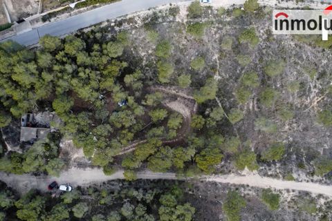 Finca i Tibi, Alicante, Tibi - € 46.000 | Ref: 5515 - foto 2