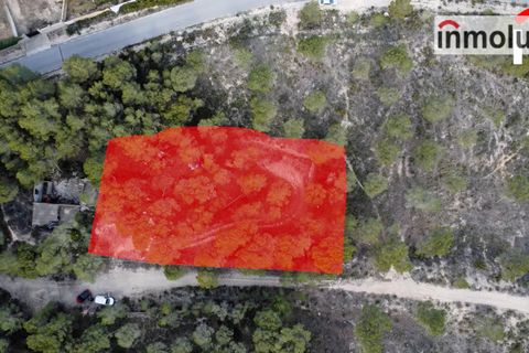 Finca i Tibi, Alicante, Tibi - € 46.000 | Ref: 5515 - foto 3