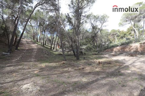 Finca i Tibi, Alicante, Tibi - € 46.000 | Ref: 5515 - foto 4