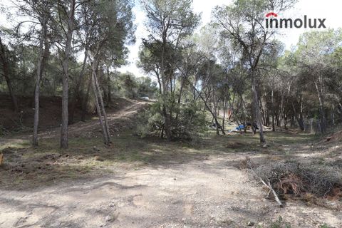 Finca i Tibi, Alicante, Tibi - € 46.000 | Ref: 5515 - foto 5