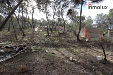 Finca i Tibi, Alicante, Tibi - € 46.000 | Ref: 5515 - foto 6