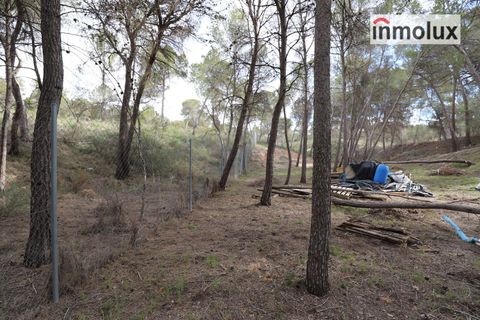 Finca i Tibi, Alicante, Tibi - € 46.000 | Ref: 5515 - foto 7