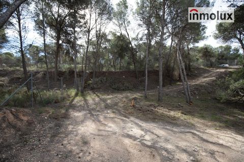 Finca i Tibi, Alicante, Tibi - € 46.000 | Ref: 5515 - foto 8