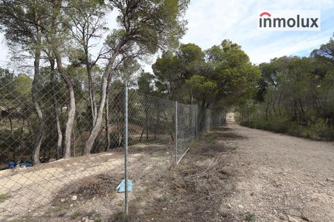 Finca i Tibi, Alicante, Tibi - € 46.000 | Ref: 5515 - foto 9