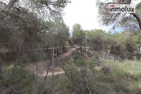 Finca i Tibi, Alicante, Tibi - € 46.000 | Ref: 5515 - foto 10