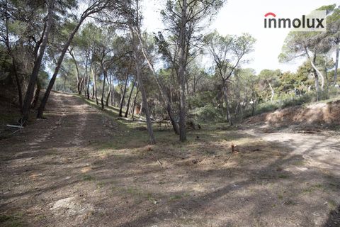 Finca i Tibi, Alicante, Tibi - € 46.000 | Ref: 5515 - foto 11